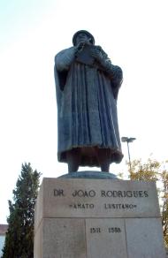 Amato Lusitano