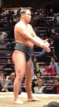 豊昇龍智勝